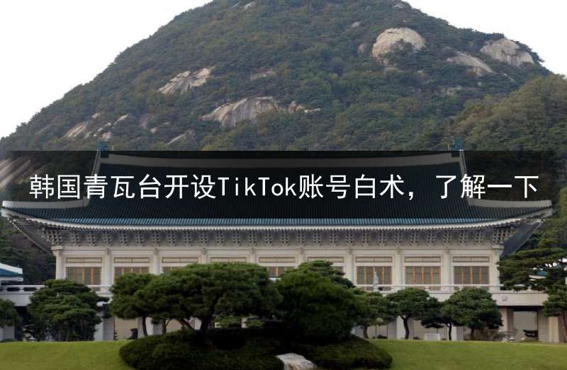 韩国青瓦台开设TikTok账号白术，了解一下